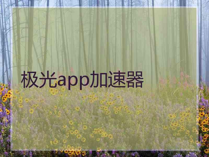 极光app加速器