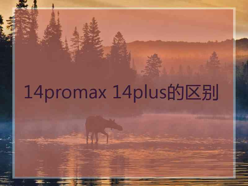 14promax 14plus的区别