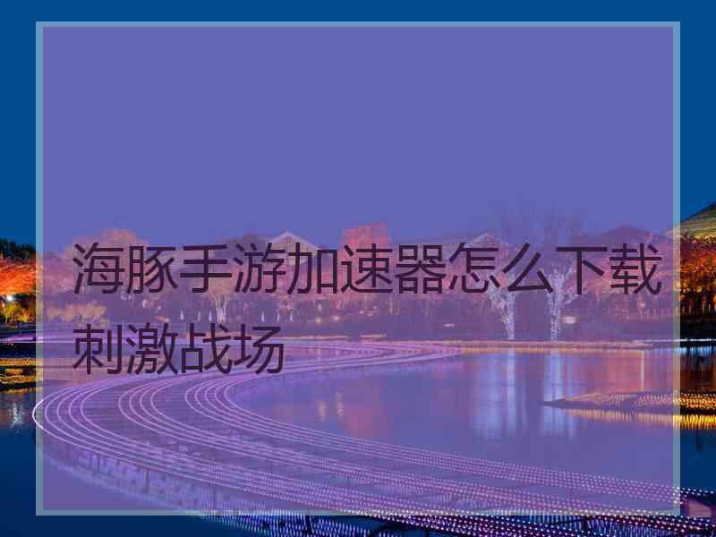 海豚手游加速器怎么下载刺激战场