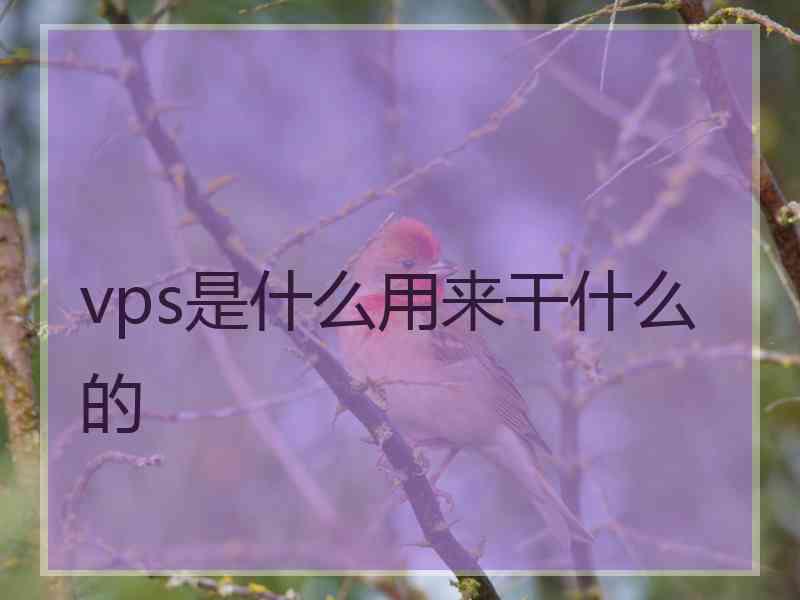 vps是什么用来干什么的