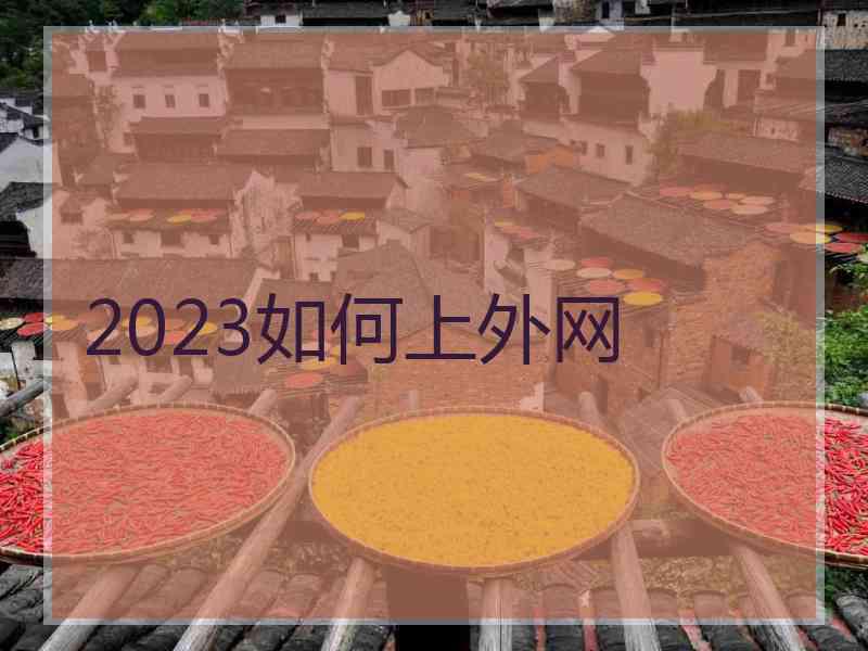 2023如何上外网