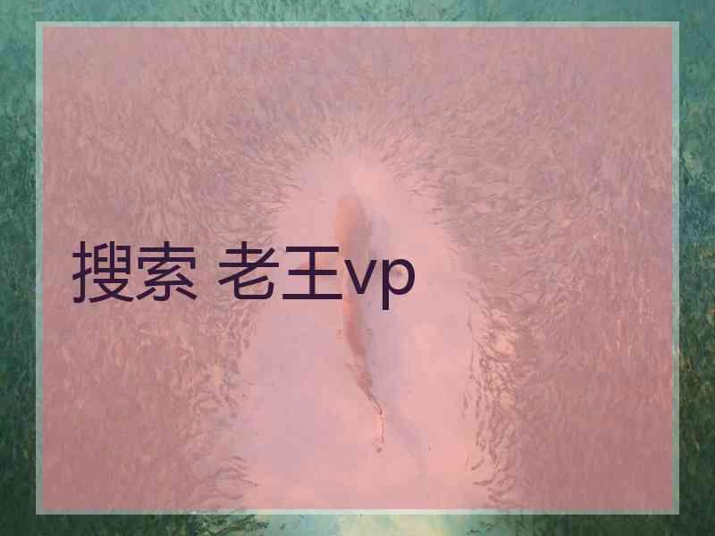 搜索 老王vp