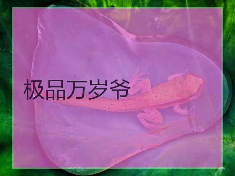 极品万岁爷