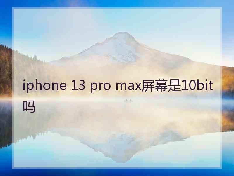 iphone 13 pro max屏幕是10bit吗