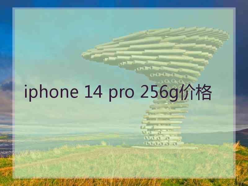 iphone 14 pro 256g价格