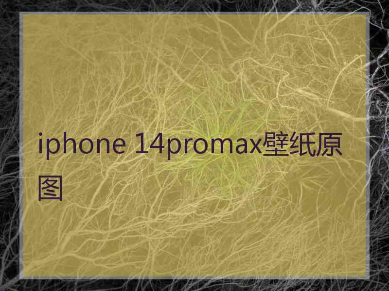 iphone 14promax壁纸原图