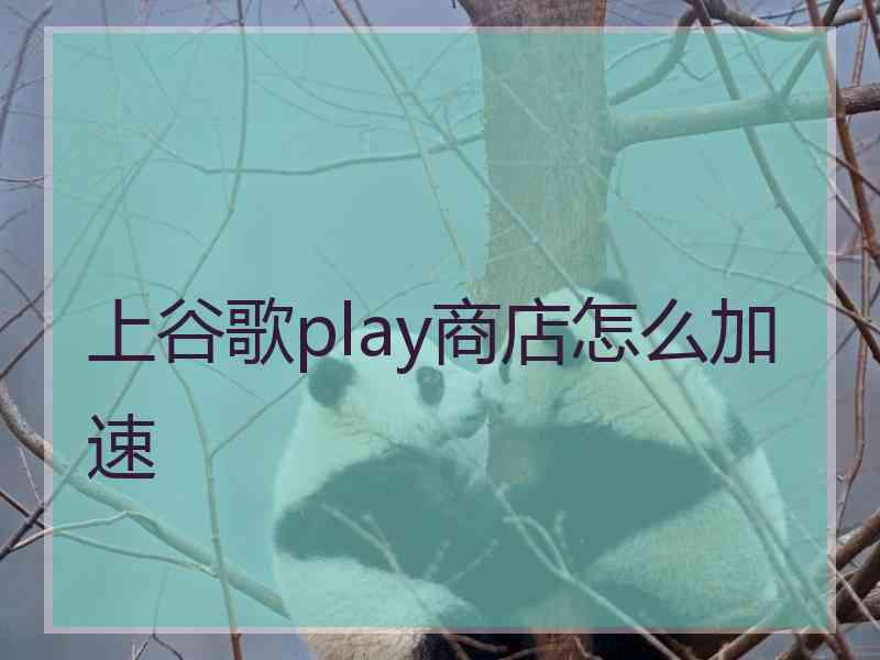 上谷歌play商店怎么加速