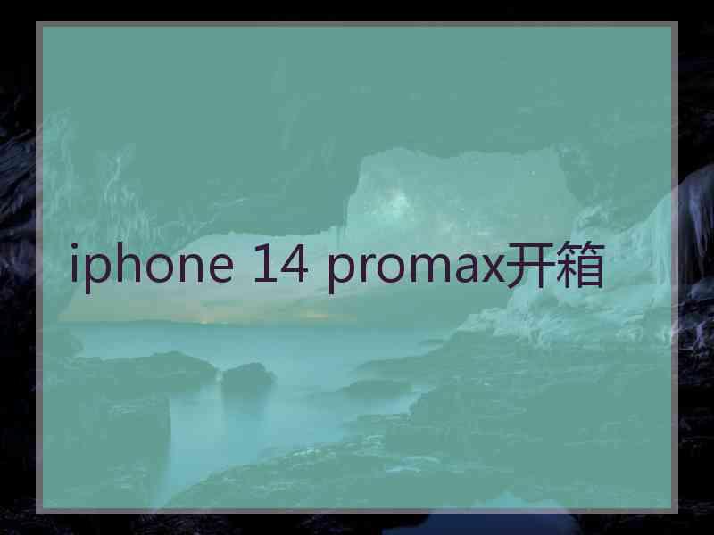 iphone 14 promax开箱