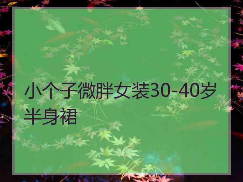 小个子微胖女装30-40岁半身裙