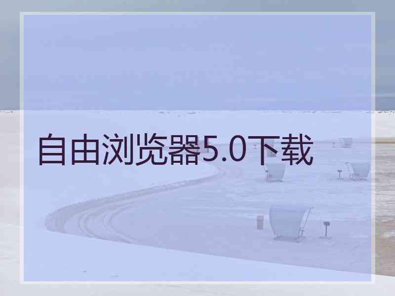 自由浏览器5.0下载