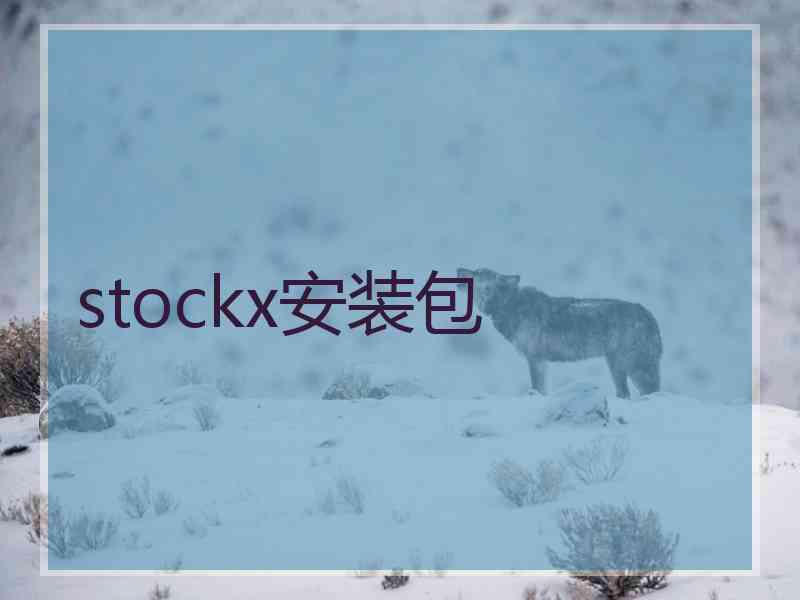 stockx安装包