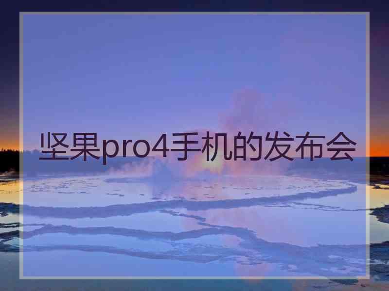 坚果pro4手机的发布会