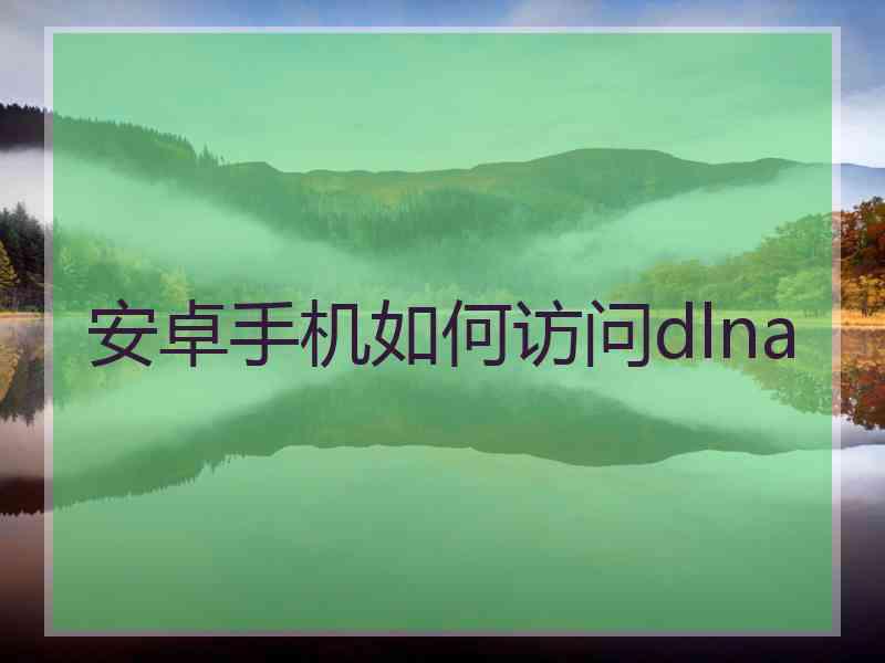 安卓手机如何访问dlna