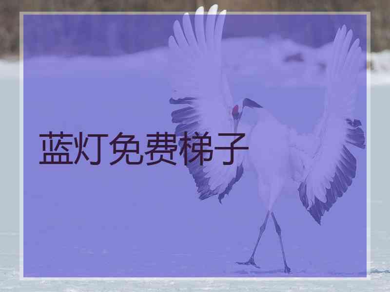 蓝灯免费梯子