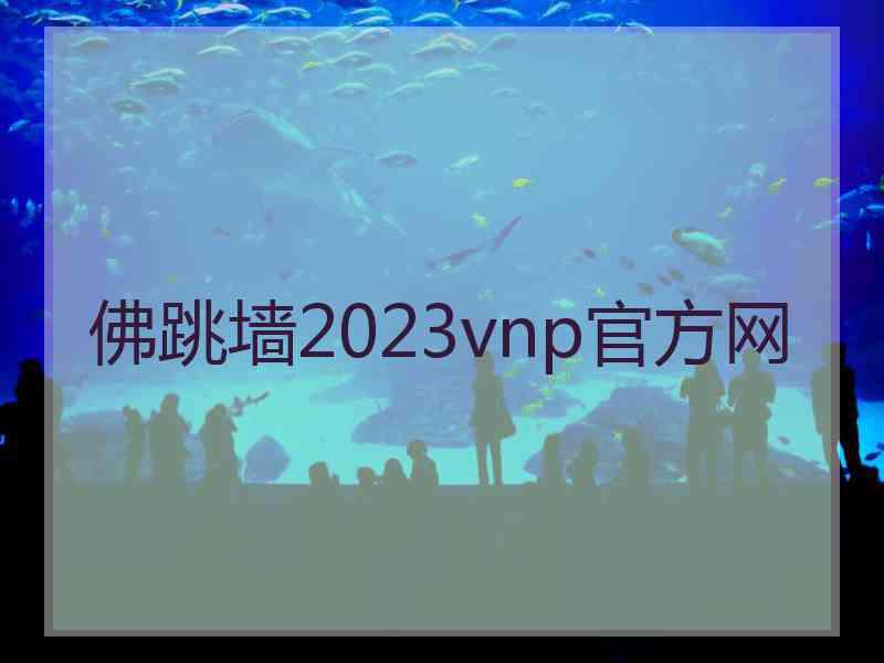 佛跳墙2023vnp官方网