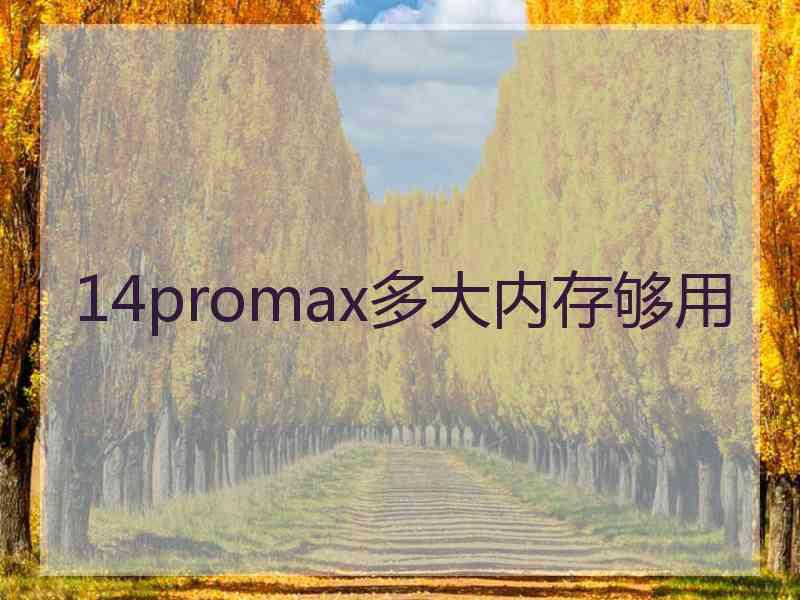 14promax多大内存够用