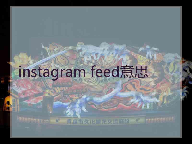 instagram feed意思