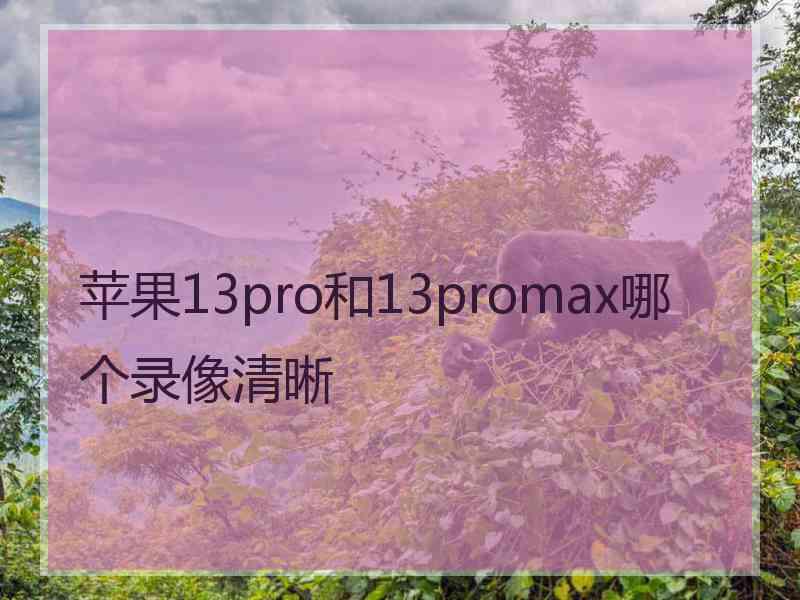 苹果13pro和13promax哪个录像清晰