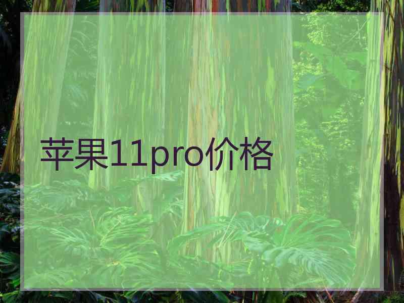 苹果11pro价格