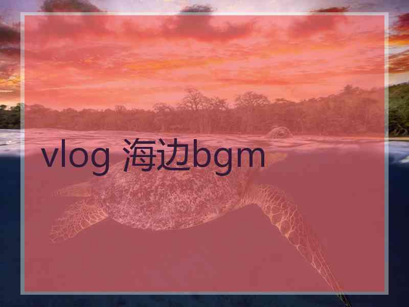 vlog 海边bgm