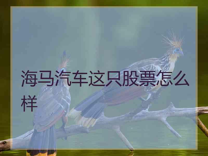 海马汽车这只股票怎么样