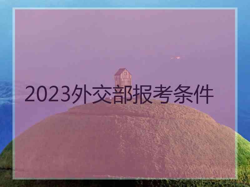 2023外交部报考条件