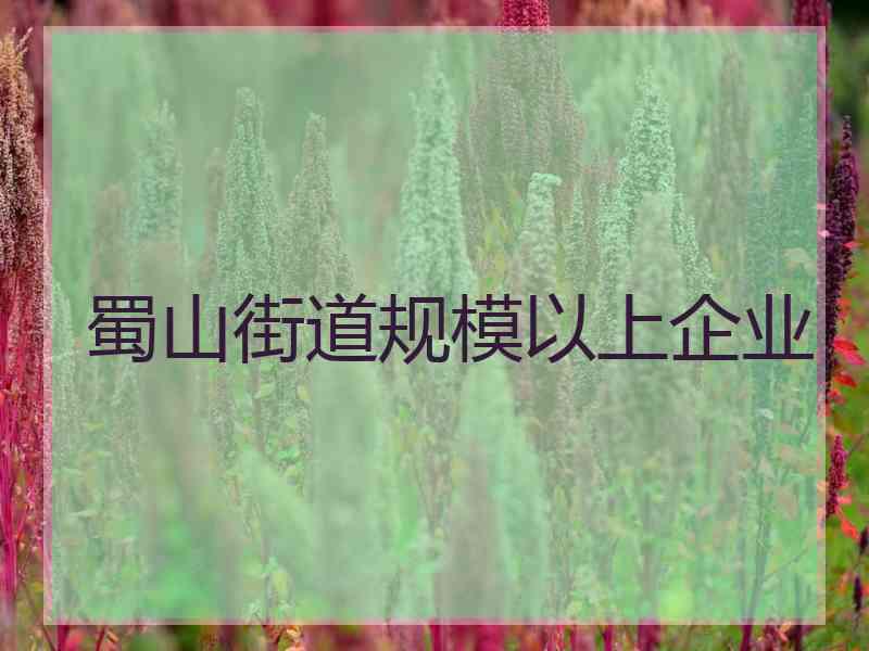 蜀山街道规模以上企业