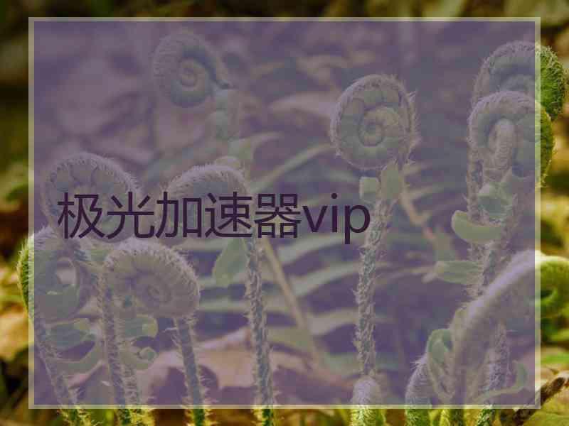 极光加速器vip