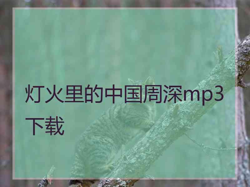 灯火里的中国周深mp3下载