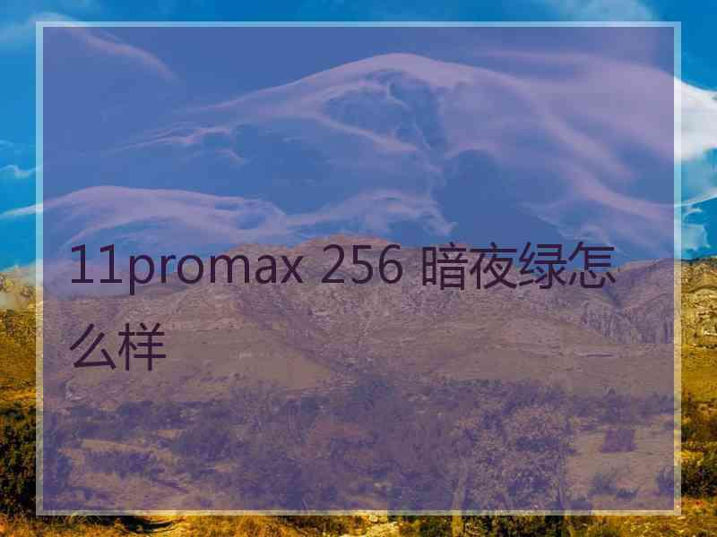 11promax 256 暗夜绿怎么样