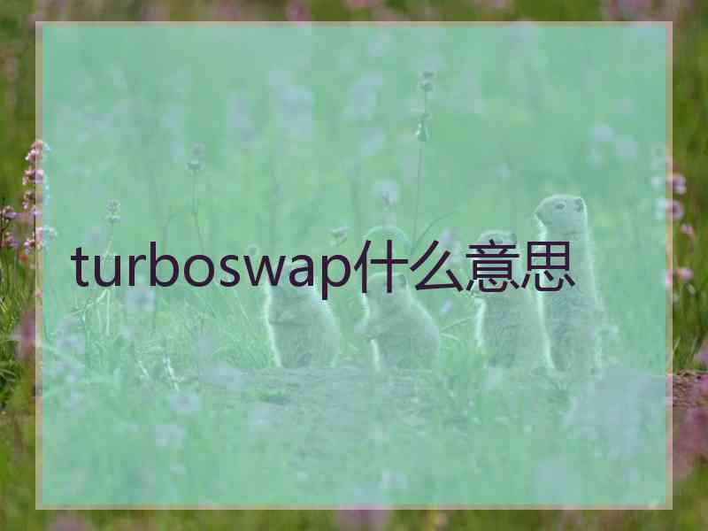 turboswap什么意思