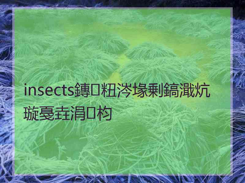 insects鏄粈涔堟剰鎬濈炕璇戞垚涓枃