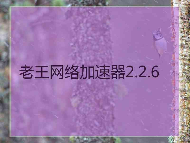 老王网络加速器2.2.6