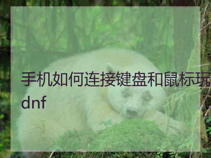 手机如何连接键盘和鼠标玩dnf