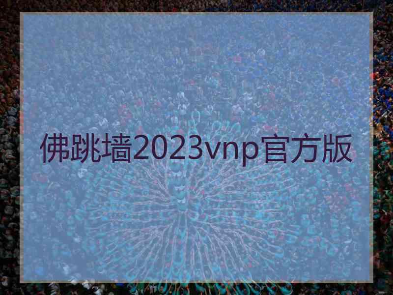 佛跳墙2023vnp官方版