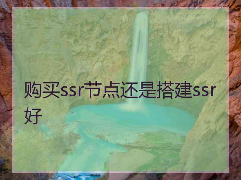 购买ssr节点还是搭建ssr好