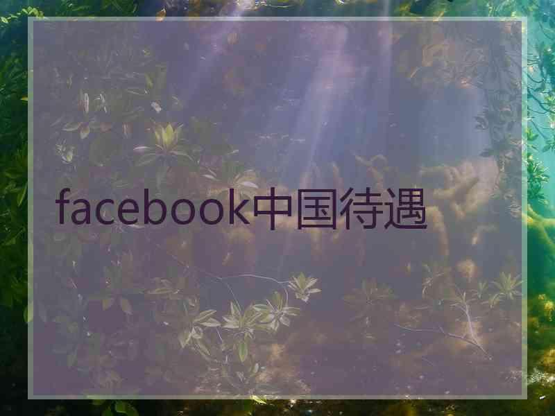 facebook中国待遇