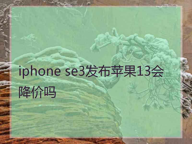 iphone se3发布苹果13会降价吗