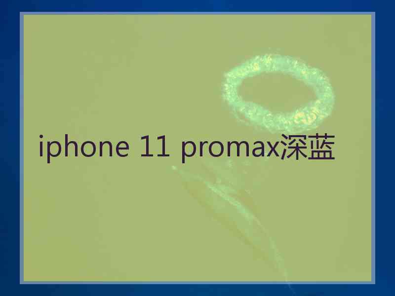 iphone 11 promax深蓝