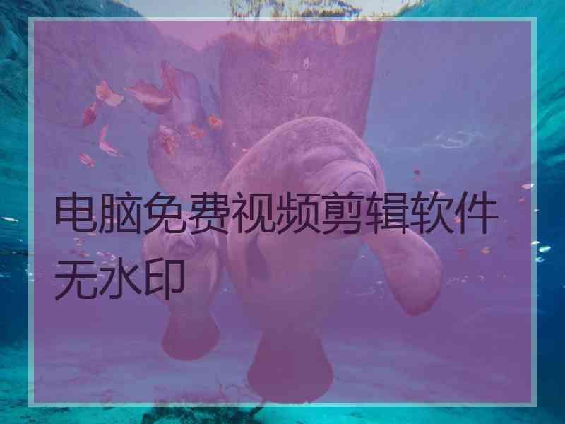 电脑免费视频剪辑软件无水印