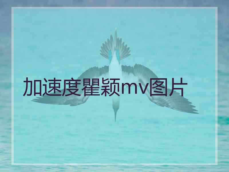 加速度瞿颖mv图片