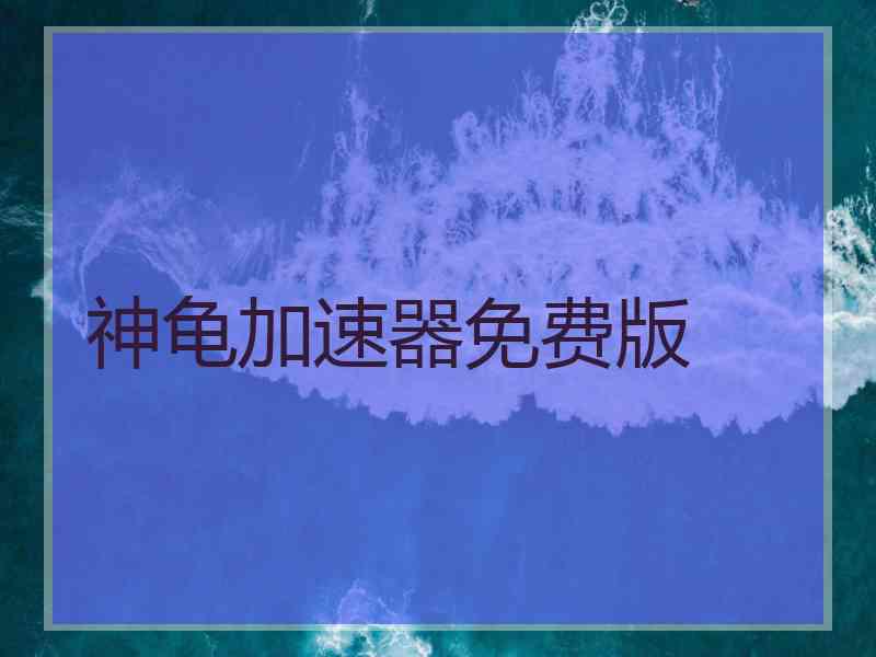 神龟加速器免费版