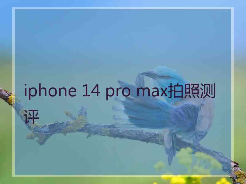 iphone 14 pro max拍照测评