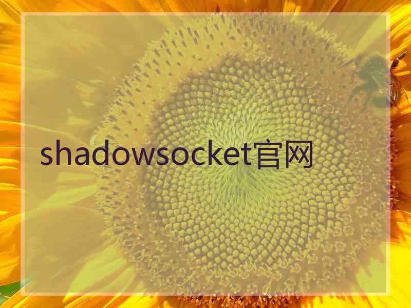 shadowsocket官网