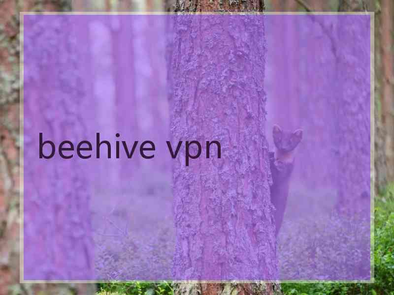 beehive vpn