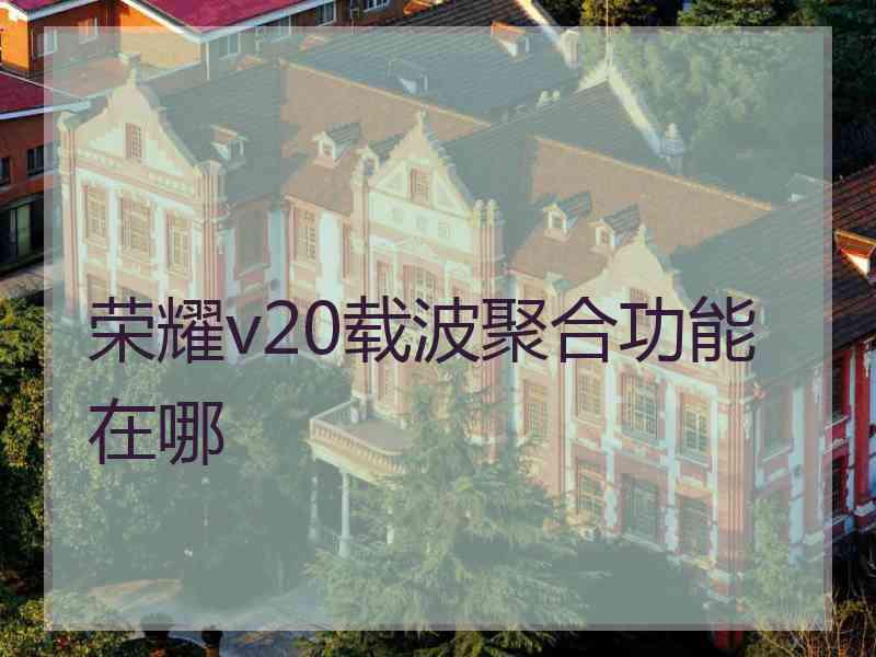 荣耀v20载波聚合功能在哪