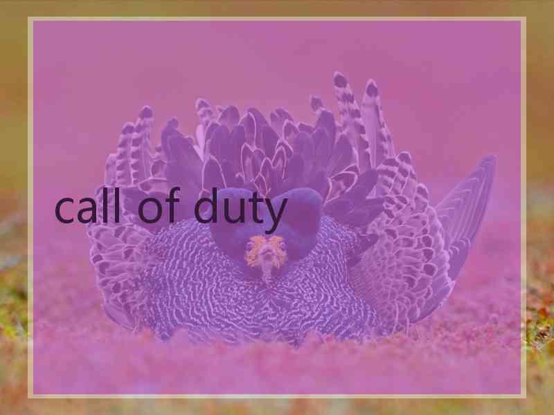 call of duty