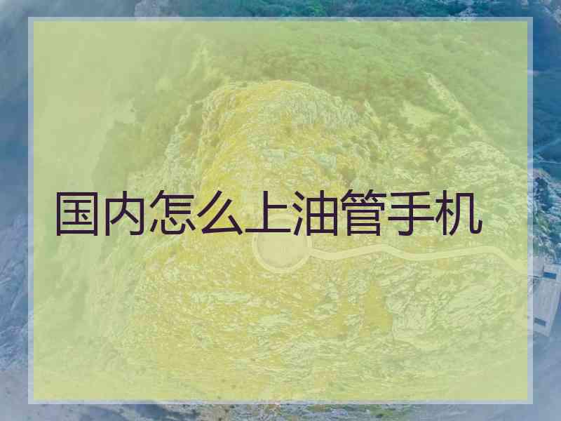 国内怎么上油管手机