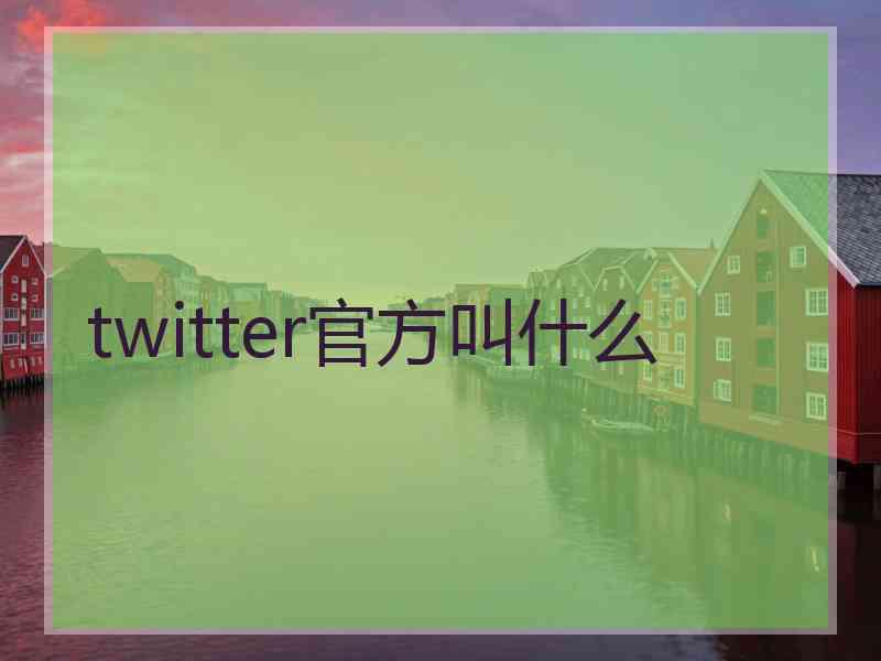 twitter官方叫什么