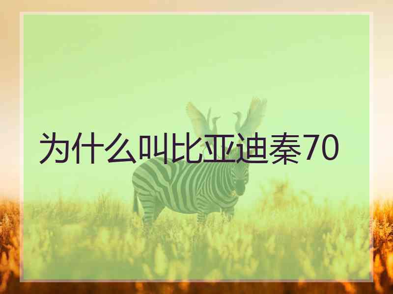 为什么叫比亚迪秦70